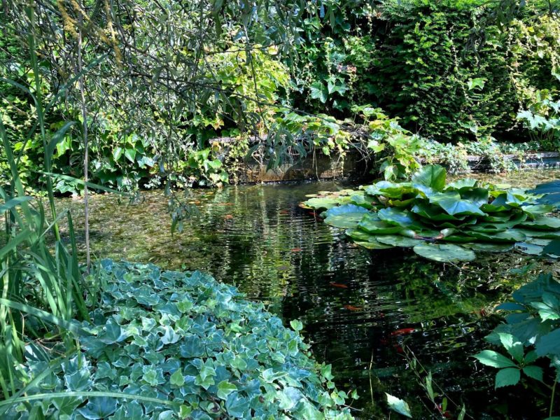 水の庭園 ル・ジャルダン・ドー